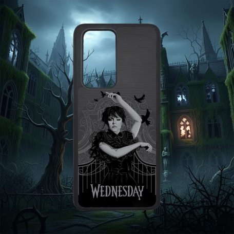 Wednesday - Wednesday és a hollók - Egyéb tok